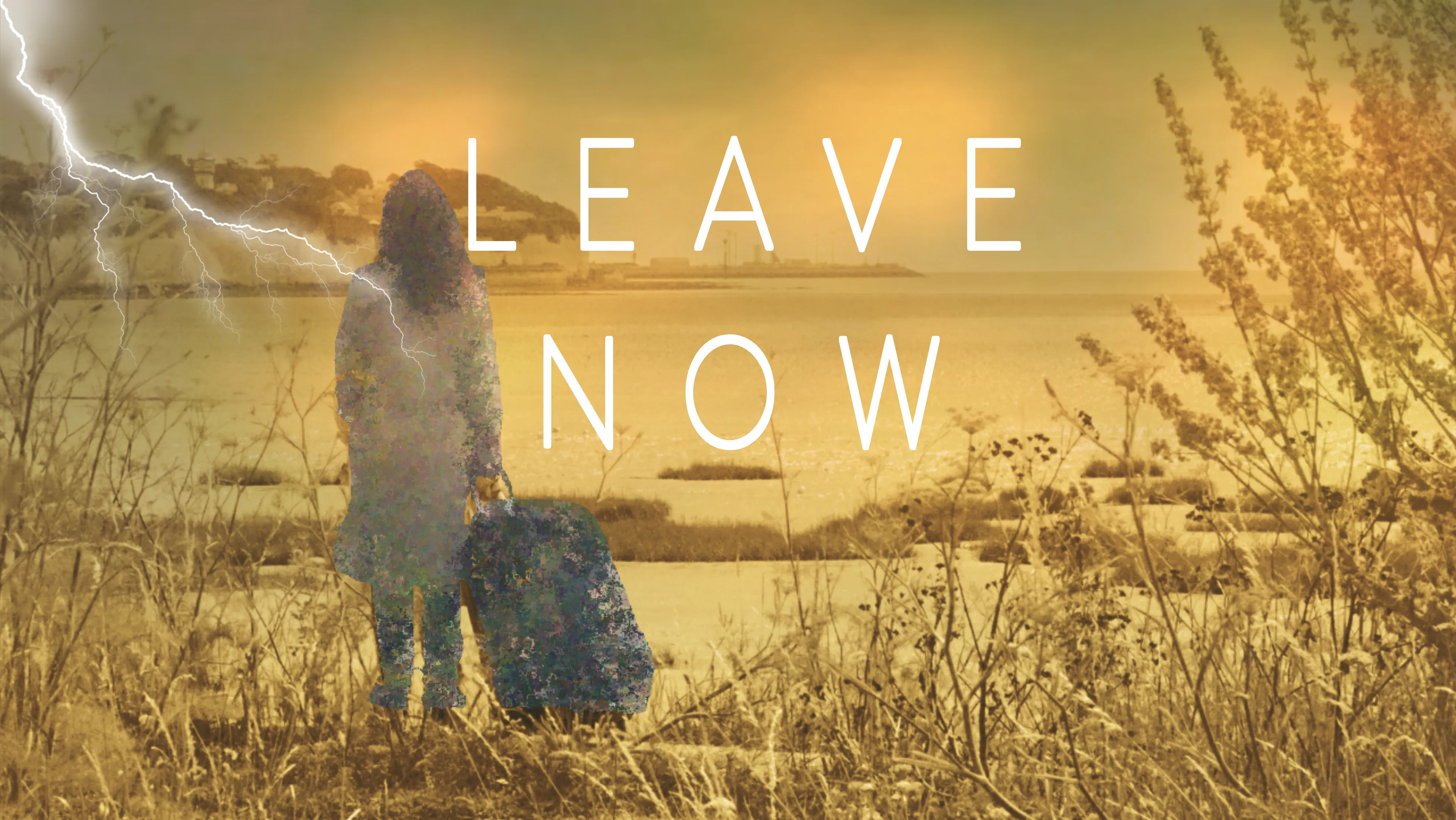 Leave Now poster